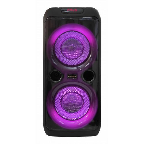 اسپیکر چمدانی بلوتوثی ROYAL SOUND مدل RS-D30 به همراه میکروفون