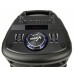 اسپیکر چمدانی شارژی VANMAX مدل MAX-250 به همراه میکروفون