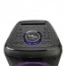 اسپیکر چمدانی شارژی VANMAX مدل MAX-750 به همراه میکروفون