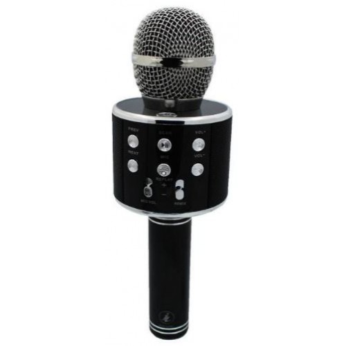 میکروفون اسپیکری WSIER مدل WS-858