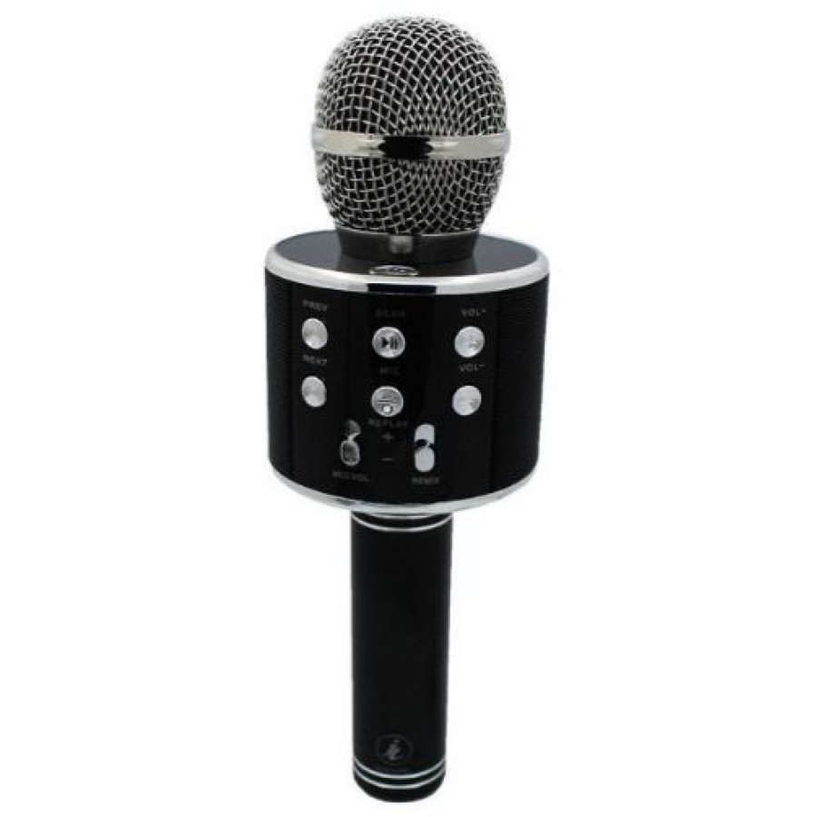 میکروفون اسپیکری WSIER مدل WS-858