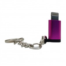 تبدیل Micro USB به Lightning